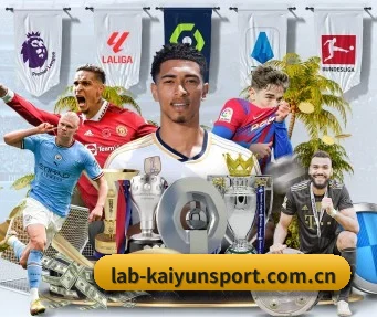 kaiyun官网 APP
