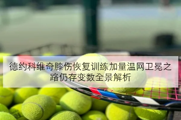 德约科维奇膝伤恢复训练加量温网卫冕之路仍存变数全景解析